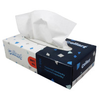 Papierové kozmetické vreckovky CELLART, 2-vrst., 100% celulóza 100ks